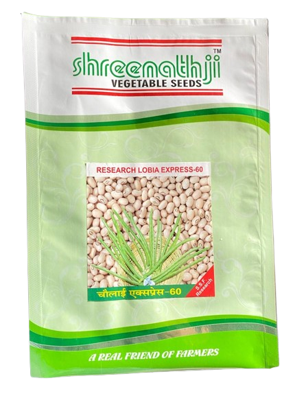 ચોલી એક્સપ્રેસ - 60